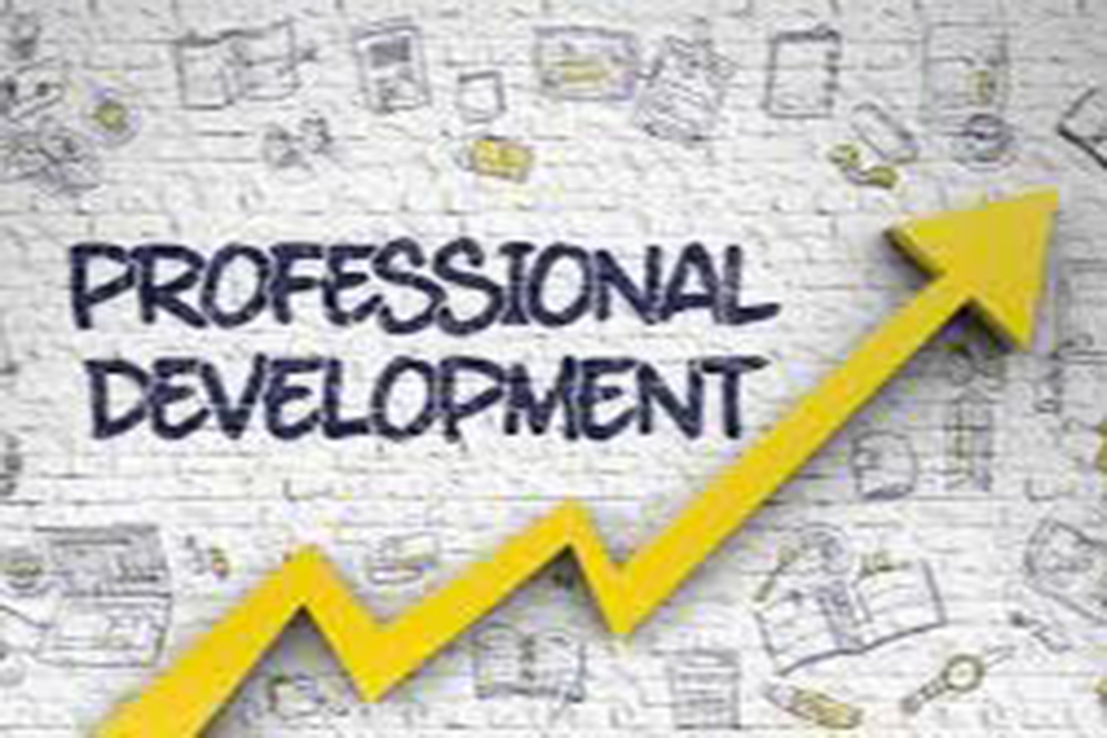 Professtional-and-development